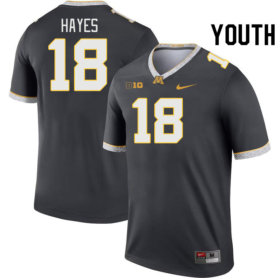 Youth #18 Donielle Hayes Minnesota Golden Gophers College Football Jerseys Stitched-Charcoal